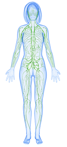 7 Ways to Improve Lymphatic Health in New York City