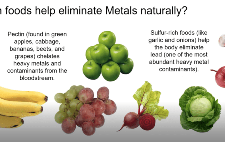 Eliminate Heavy Metals Naturally in New York City