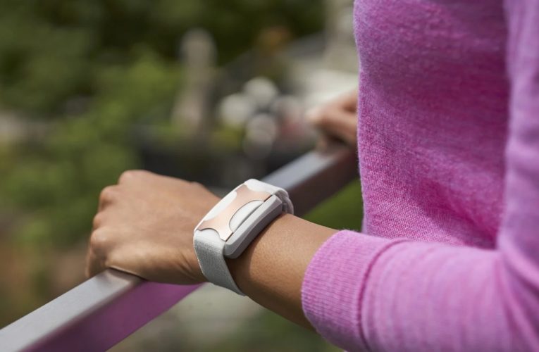 New York City: Can a Wearable Device Reduce Stress?